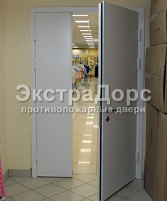 Противопожарная глухая двухстворчатая дверь