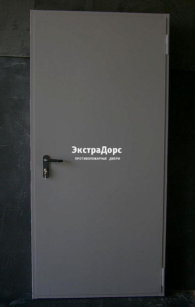 Дверь металлическая противопожарная EI 60 ДПМ 2 типа серая в Реутове  купить